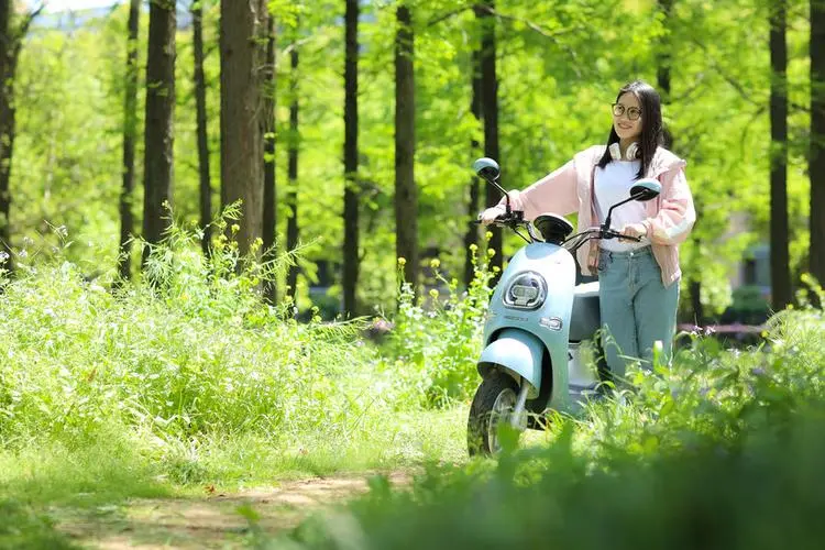 為什么大部分電動車都用鉛酸電池而不是鋰電池？原因是什么？